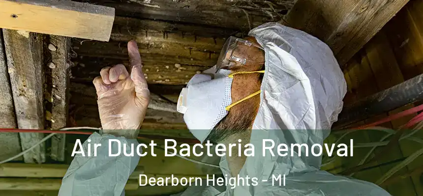 Air Duct Bacteria Removal Dearborn Heights - MI