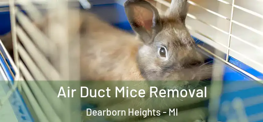 Air Duct Mice Removal Dearborn Heights - MI