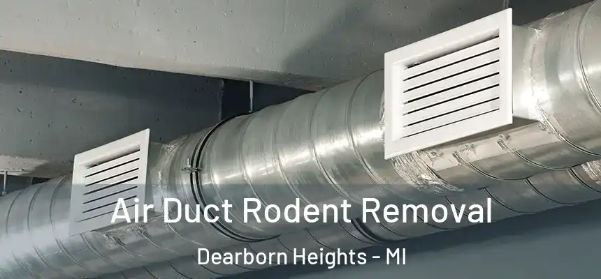 Air Duct Rodent Removal Dearborn Heights - MI