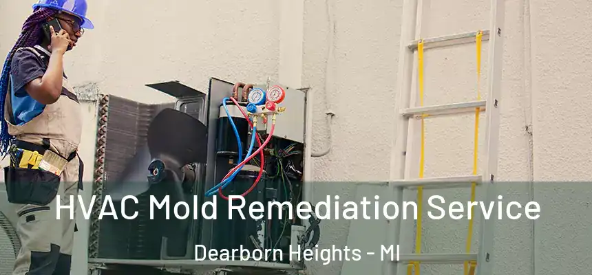  HVAC Mold Remediation Service Dearborn Heights - MI