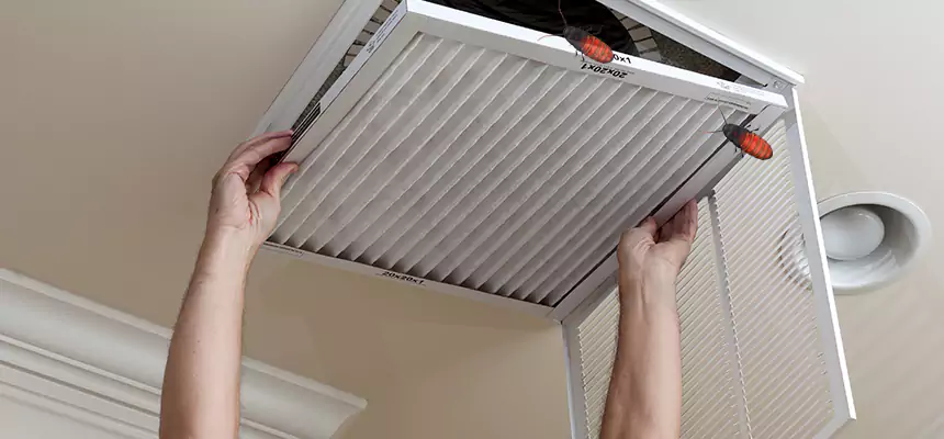 Preventive Cockroach-Proofing for Ducts in Dearborn Heights