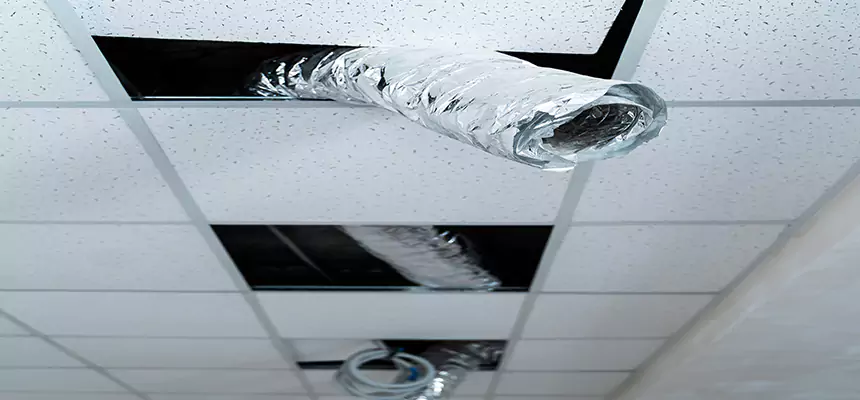 Our Air Duct Pet Hair Removal Services in Dearborn Heights, MI