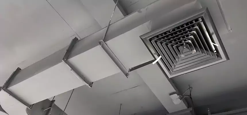 Restorative Allergy Relief Vent Cleaning – Coil, Blower & Housing Detail in Dearborn Heights