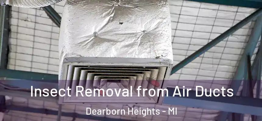 Insect Removal from Air Ducts Dearborn Heights - MI