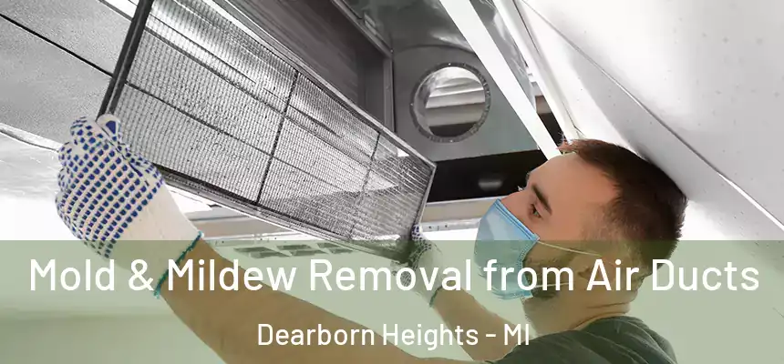 Mold & Mildew Removal from Air Ducts Dearborn Heights - MI