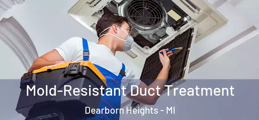 Mold-Resistant Duct Treatment Dearborn Heights - MI