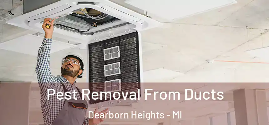  Pest Removal From Ducts Dearborn Heights - MI