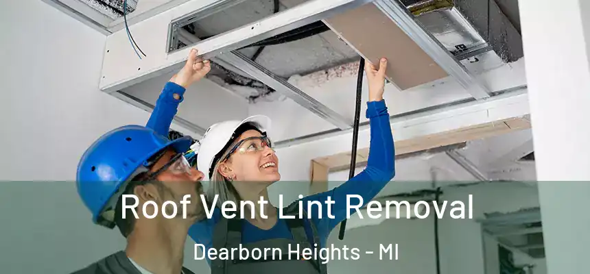  Roof Vent Lint Removal Dearborn Heights - MI