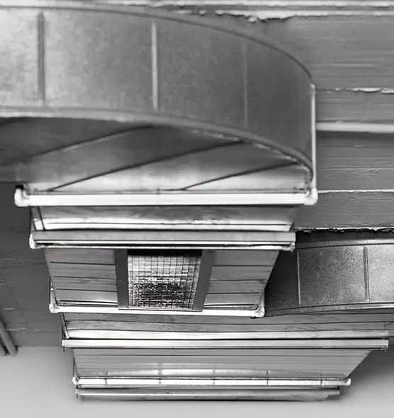 Professional Air Duct Pet Hair Removal in Dearborn Heights, MI