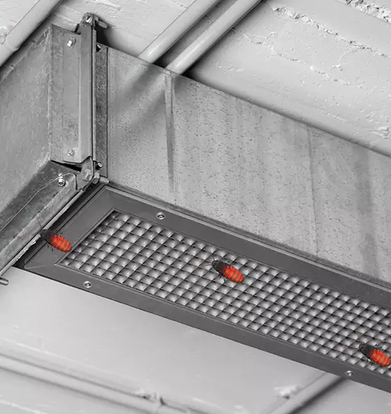 Affordable Insect Removal from Air Ducts in Dearborn Heights, MI
