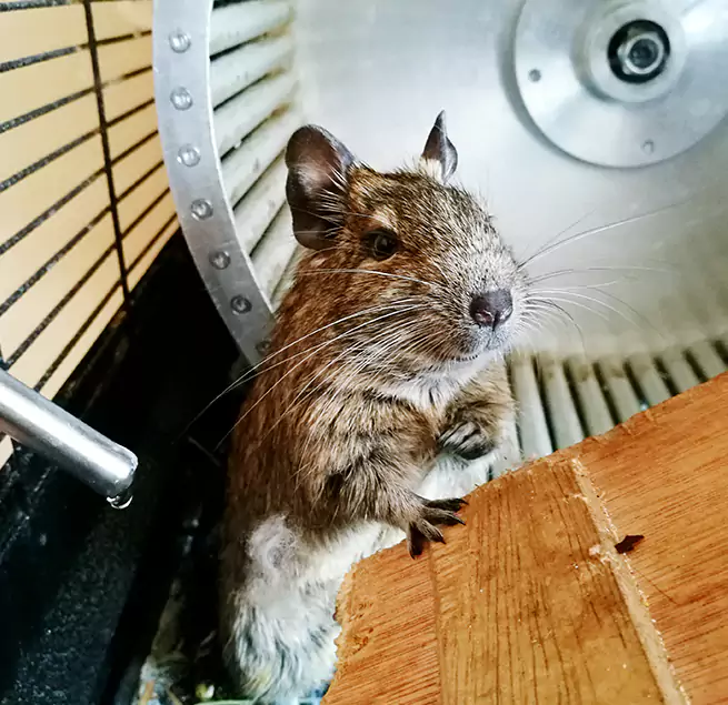 Why Homeowners & Businesses Trust Us Dearborn Heights, MI