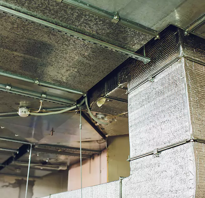 Why Homeowners & Businesses Trust Us in Dearborn Heights, MI?